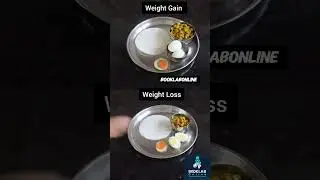 Day 12 Weight Loss & Weight Gain Diet Plan | Simple Home Food | No Gym