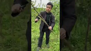 When fresh water is scarce in the wild, try this Japanese knotweed