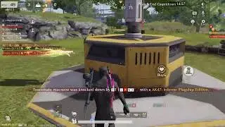PALONG PALO! 