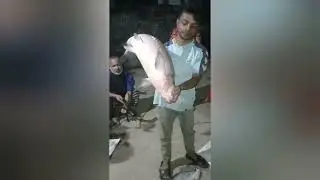 পৌষ সংক্রান্তি ও মাছ উৎসব/Poush Mash and Fish Festival/রুই_চিতল_মহাশোল/Rui_Citol_Mohashol