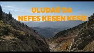 Uludağ'da Nefes Kesen Müthiş Keşif