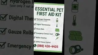 TOP 10 Toxic Foods for Dogs & Cats! ☠️ PET POISON ALERT! #shorts#PetSafety #ToxicFoodsForDogs