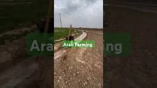 Arab agriculture farming #farming #nature #agriculturefarming #reelsvideo