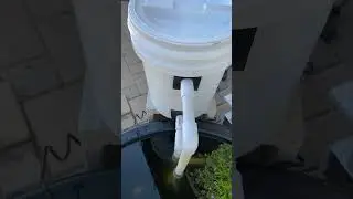 5-Gallon Bucket Pond Filter | Download Bulkhead Adapters 3D Print Files