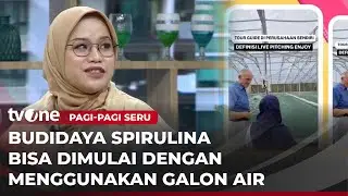 Tips & Trik Budidaya Spirulina | Pagi-Pagi Seru tvOne