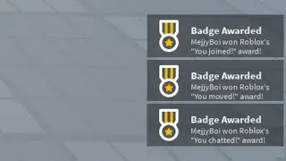 Roblox Badges Be Like...