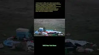 On December 14, 2025, a terror attack occurred at Bondi Beach in Sydney, Australia. Two gunmen targe