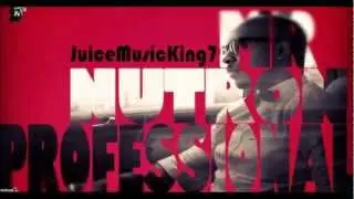 Mr. NuTRON - Professional [Soca] 2013 [HD]