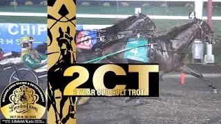 2021 Breeders Crown - Rebuff - 2CT