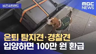 [비즈&트렌드] 은퇴 탐지견·경찰견 입양하면 100만 원 환급 (2026.01.19/뉴스투데이/MBC)