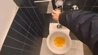 American Museum of Natural History Richard Gilder Center toilets 
