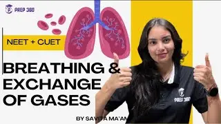 Breathing & Exchange of Gases | NEET + CUET Complete Explanation in 10 Minutes #prep360 #neet2026 