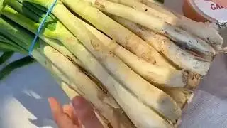Unboxing pack cal&ccedil;ots Casa F&egrave;lix