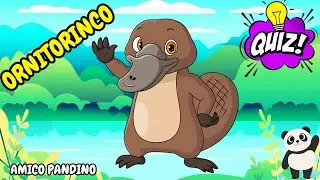 Animali per bambini - L'ORNITORINCO - Impara gli animali con Pandino - quiz animali - MAMMIFERI