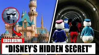 Don&rsquo;t Visit Disneyland Again Until You See This