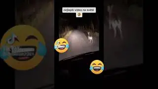 Choď do piče ty kokot zkurveny zajebany 🤣🤣