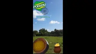 Traditional Cow Butter | butter manufacturing | Podhini Traditional cow Ghee|#traditionalghee