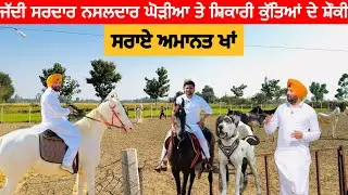 ਜੱਦੀ ਸਰਦਾਰ ਨਸਲਦਾਰ ਘੋੜੀਆ ਤੇ ਸ਼ਿਕਾਰੀ ਕੁੱਤਿਆਂ ਦੇ ਸ਼ੌਕੀ ॥ ਸਰਾਏ ਅਮਾਨਤ ਖਾਂ | 
