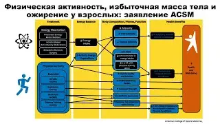 лекция: Физическая активность, избыточная масса тела и ожирение у взрослых: заявление ACSM