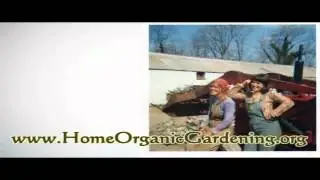 Key Elements To Organic Rose Gardening