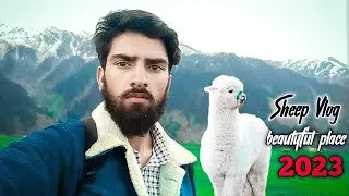 sheep vlog ❤️ beautiful place vlog || my first video on youtube || dogri song