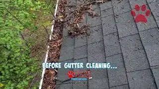 Gutter Cleaning Laurel MD