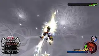 [キングダムハーツ2] 久しぶりに13機関と遊ぶ