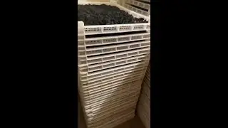 Hello River Sea Cucumber Drye Sausage Drying Machine Meat Dehydrator Heat Pump Dryer Tech Good Color
