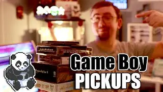 Wieder ordentlich Futter f&uuml;r die Gameboy Sammlung! Pickups Nr. 32!