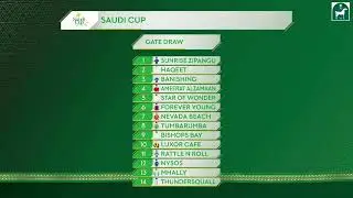 Saudi cup 2026 post position gate draw