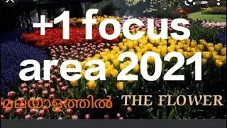 Flower ,plus one focus area 2021 botany in malayalam