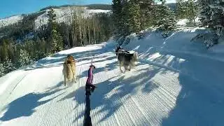 First Tracks Skijoring