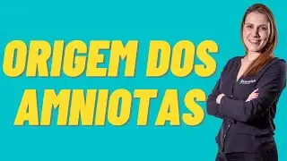 Origem dos Amniotas