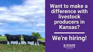 Career Opportunity with K-State Research and Extension's Post Rock District in North Central Kansas