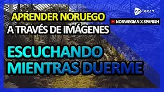 Aprender Noruego A Trav&eacute;s De Im&aacute;genes |Vocabulario Noruego Escuchando Mientras Duerme | Golearn