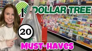 20 DOLLAR STORE FAVORITES (that will help YOU save money and are worth the buy!)
