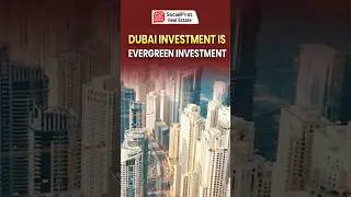 Dubai Real Estate Investing for Beginners #investment #dubai #propertyinvestment #highroi #shorts
