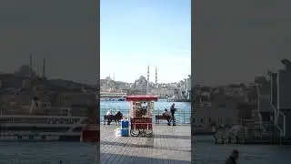 Istanbul's Simit Vendor: A Taste of Tradition