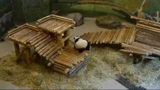 Record 2016 09 26 兄妹溜滑梯