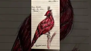 Bird pen sketch ✨#pensketch #shorts#art #drawing #trending #painting