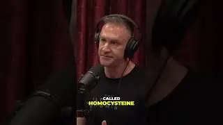 Dana White's Blood Secret: The Hypertension-Homocysteine Connection!
