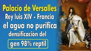 426.JENNY.Palacio de Versallesa - Rey Luis XIV, el agua no purifica densificaci&oacute;n del gen 98% reptil