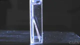 Artificial Leaf Generates Electricity From Light
