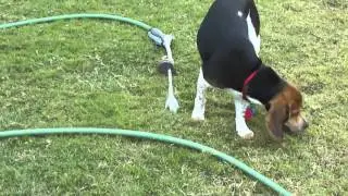 M4H00333.MP4