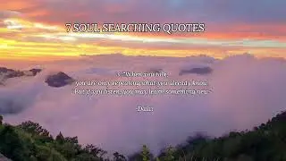 7 Soul Searching Quotes/quotes collections
