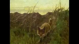 T&micro;mmetott - Der Fuchs Kommt