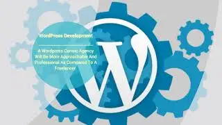 Hire WordPress Developer is the Best Decision You Can Take