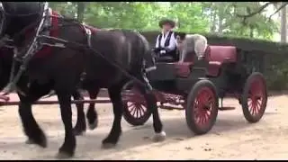 PHP Carriages