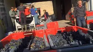 CUVERIE 2020 VENDANGES BERTHAUT GERBET