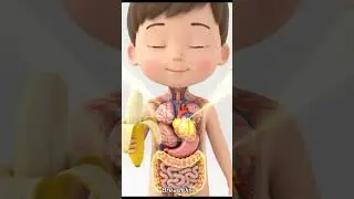 how food and our daily diet effects our body.#Health#,Food #Youtube#Nutrition#Health#tips#Healthcare